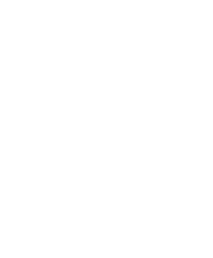 ICP Srl